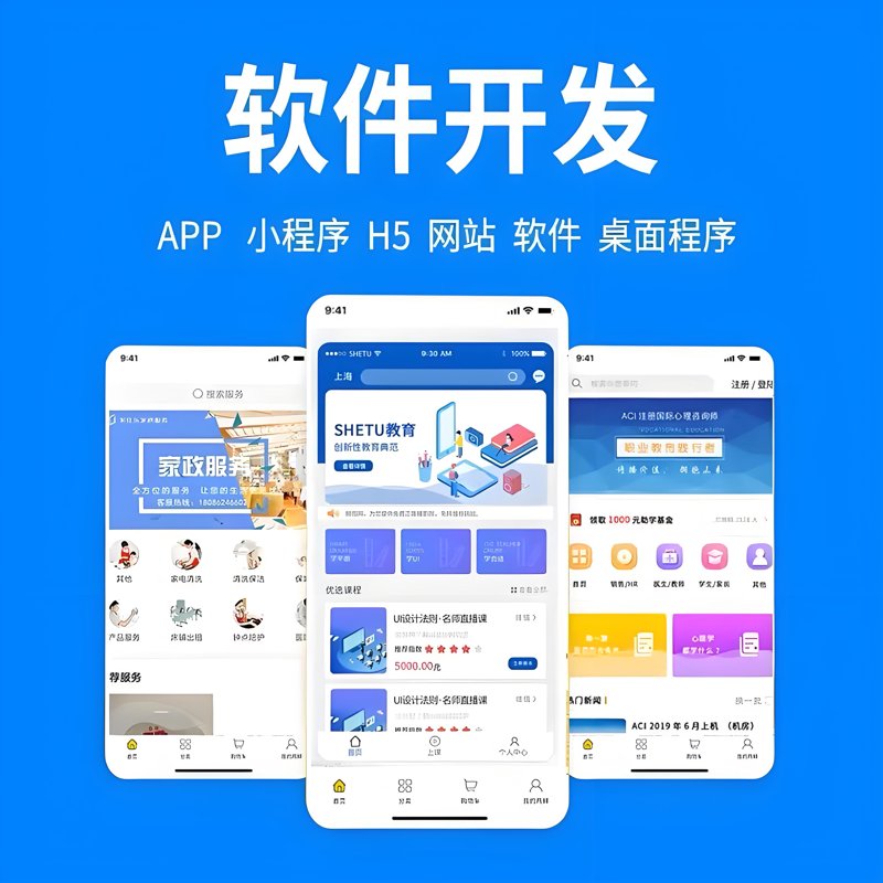 系统集成服务