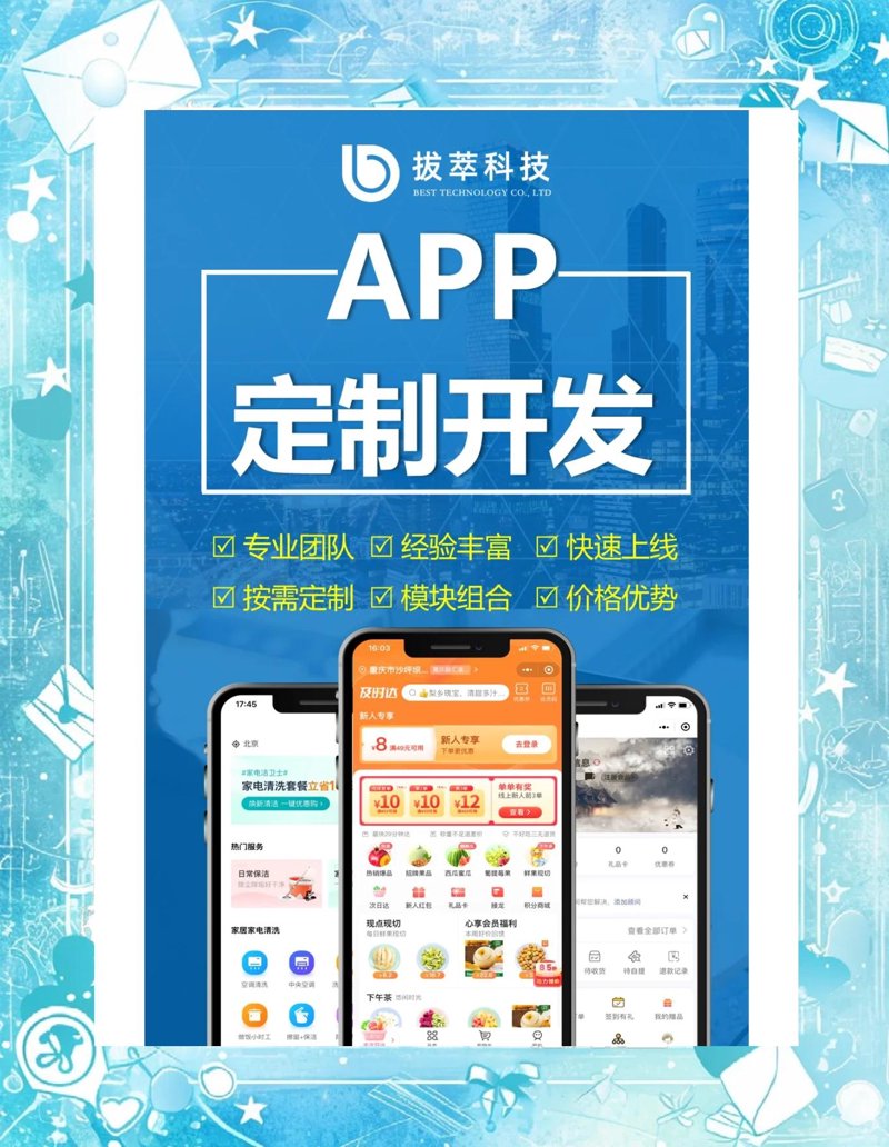 APP定制开发：专业与成本的平衡之道